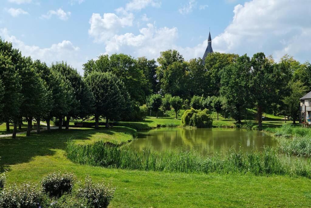 Maison Centre De Bellegarde Avec Jardin Et Terrasse Equipee D'Un Salon De Jardin Et D'Un Barbecue Cuisine Equipee 3 Chambres Avec 2 Lits Double 140X190 Et 2 Lits Simple Chauffage Poele A Granules Parking Gratuit Devant La Maison Bellegarde-du-Loiret Εξωτερικό φωτογραφία